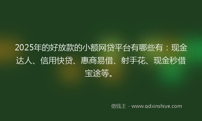 2025年的好放款的小额网贷平台有哪些有：现金达人、信用快贷、惠商易借、射手花、现金秒借宝途等。