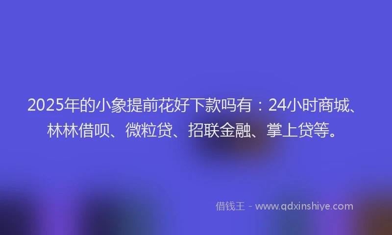 2025年的小象提前花好下款吗有：24小时商城、林林借呗、微粒贷、招联金融、掌上贷等。