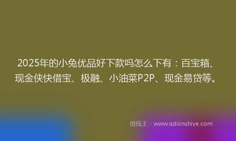 2025年的小兔优品好下款吗怎么下有：百宝箱、现金侠快借宝、极融、小油菜P2P、现金易贷等。