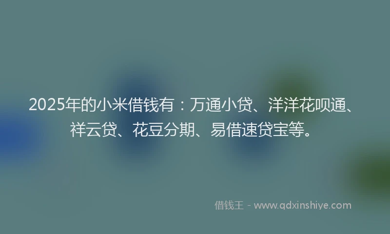 2025年的小米借钱有：万通小贷、洋洋花呗通、祥云贷、花豆分期、易借速贷宝等。