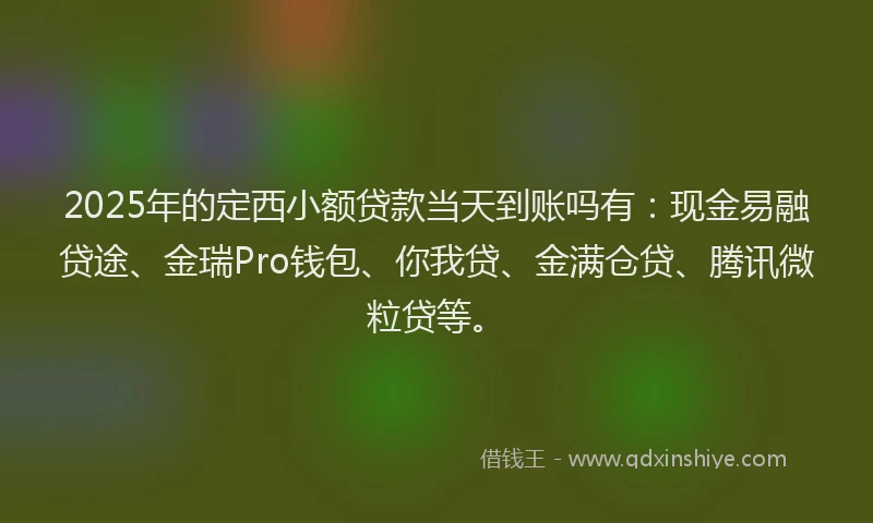 2025年的定西小额贷款当天到账吗有：现金易融贷途、金瑞Pro钱包、你我贷、金满仓贷、腾讯微粒贷等。