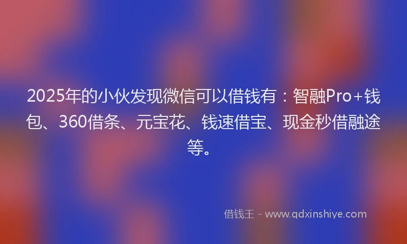 2025年的小伙发现微信可以借钱有：智融Pro+钱包、360借条、元宝花、钱速借宝、现金秒借融途等。