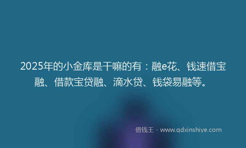 2025年的小金库是干嘛的有：融e花、钱速借宝融、借款宝贷融、滴水贷、钱袋易融等。