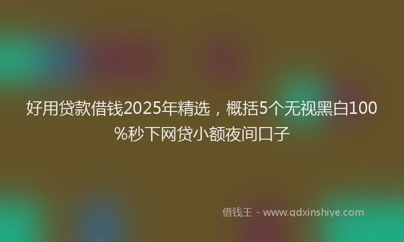 好用贷款借钱2025年精选，概括5个无视黑白100%秒下网贷小额夜间口子