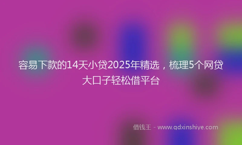 容易下款的14天小贷2025年精选，梳理5个网贷大口子轻松借平台