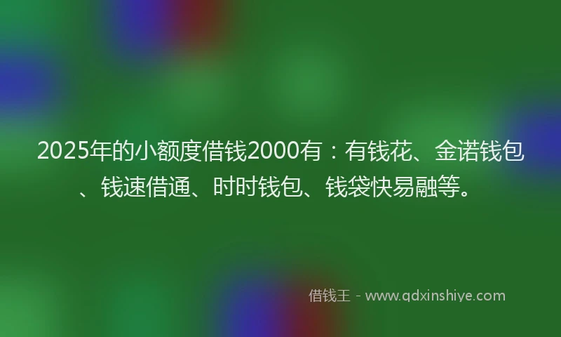 2025年的小额度借钱2000有：有钱花、金诺钱包、钱速借通、时时钱包、钱袋快易融等。