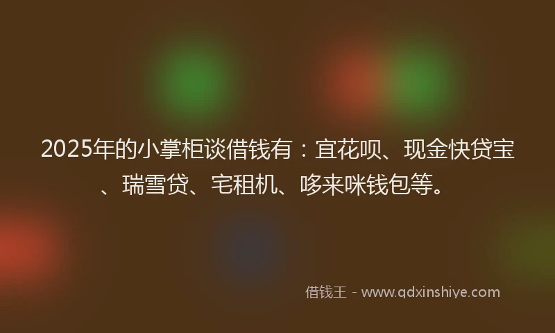 2025年的小掌柜谈借钱有：宜花呗、现金快贷宝、瑞雪贷、宅租机、哆来咪钱包等。