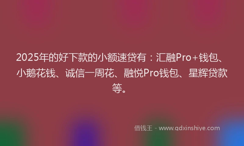 2025年的好下款的小额速贷有：汇融Pro+钱包、小鹅花钱、诚信一周花、融悦Pro钱包、星辉贷款等。
