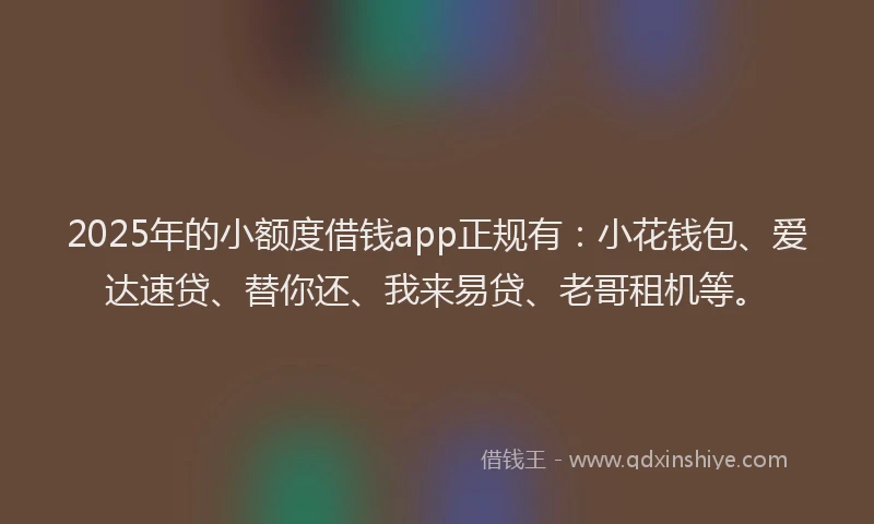 2025年的小额度借钱app正规有：小花钱包、爱达速贷、替你还、我来易贷、老哥租机等。