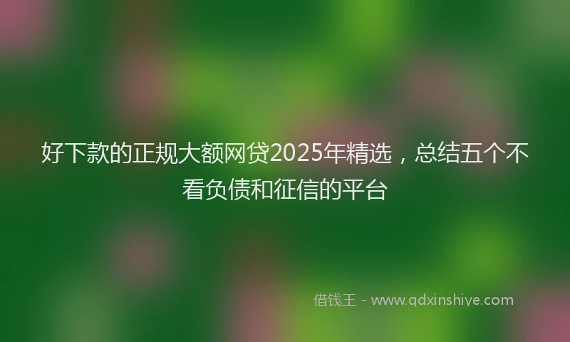 好下款的正规大额网贷2025年精选，总结五个不看负债和征信的平台