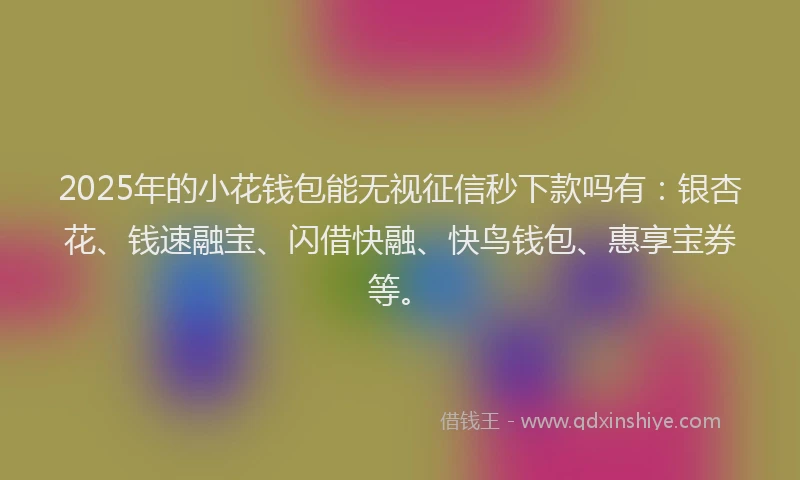 2025年的小花钱包能无视征信秒下款吗有：银杏花、钱速融宝、闪借快融、快鸟钱包、惠享宝券等。
