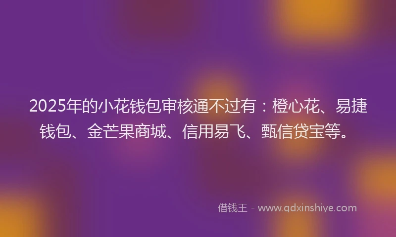 2025年的小花钱包审核通不过有：橙心花、易捷钱包、金芒果商城、信用易飞、甄信贷宝等。