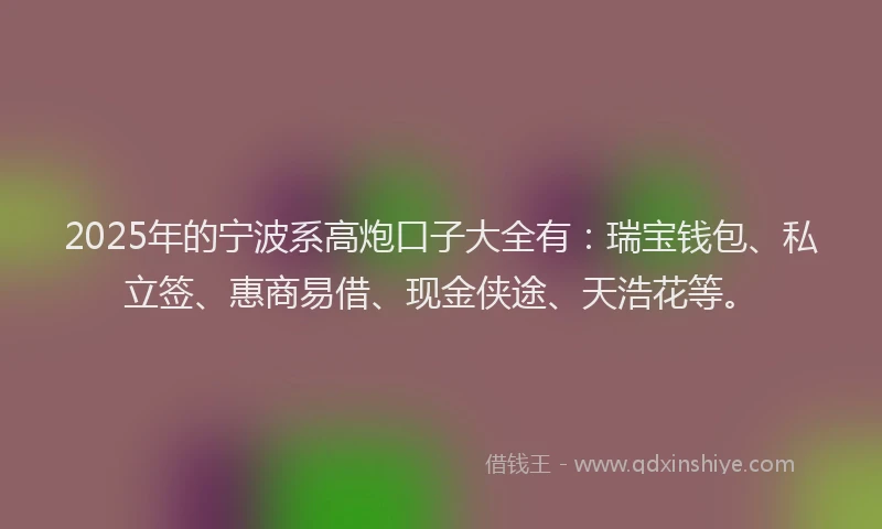 2025年的宁波系高炮口子大全有：瑞宝钱包、私立签、惠商易借、现金侠途、天浩花等。