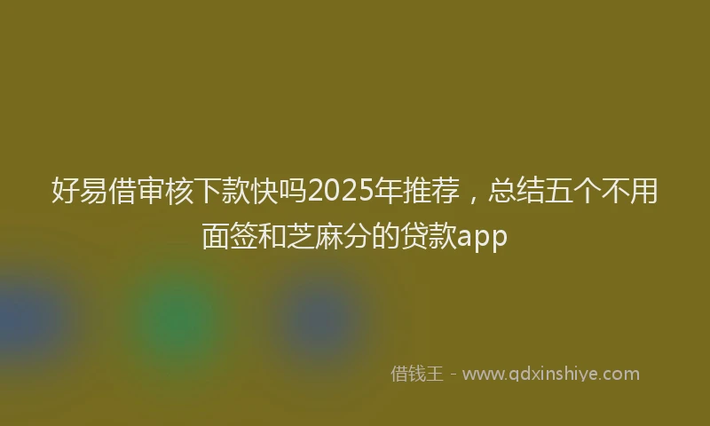 好易借审核下款快吗2025年推荐，总结五个不用面签和芝麻分的贷款app
