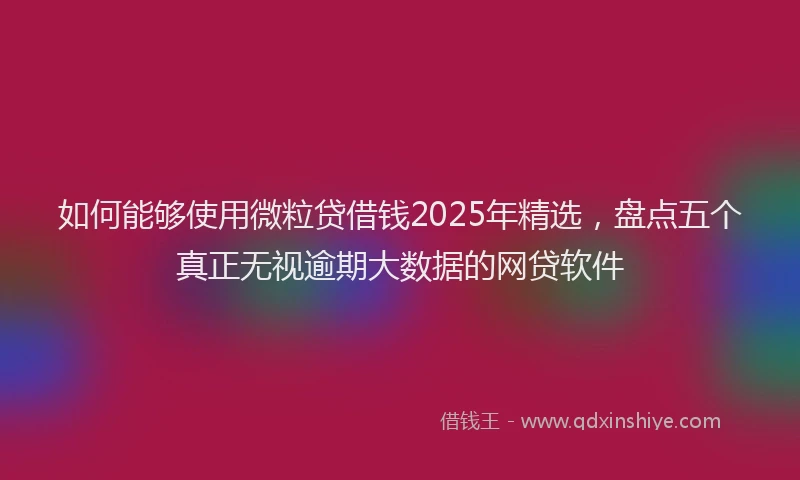 如何能够使用微粒贷借钱2025年精选，盘点五个真正无视逾期大数据的网贷软件