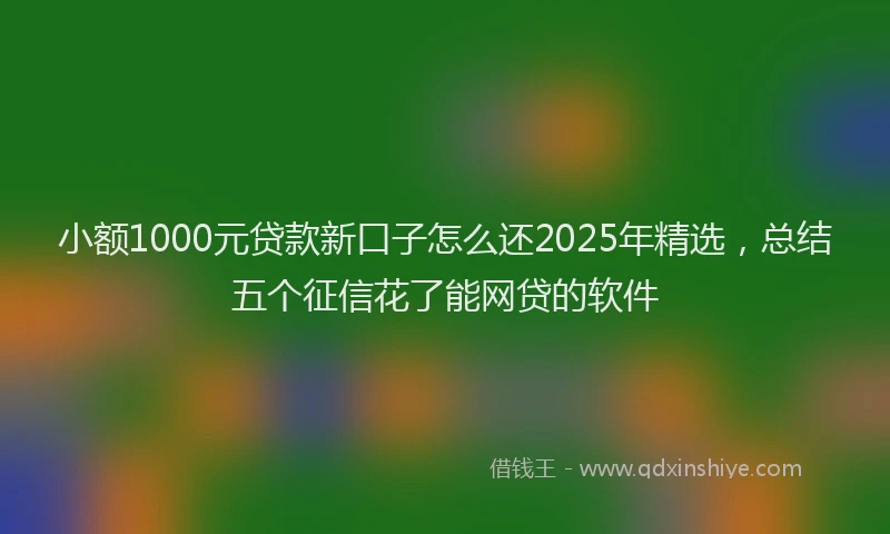小额1000元贷款新口子怎么还2025年精选，总结五个征信花了能网贷的软件