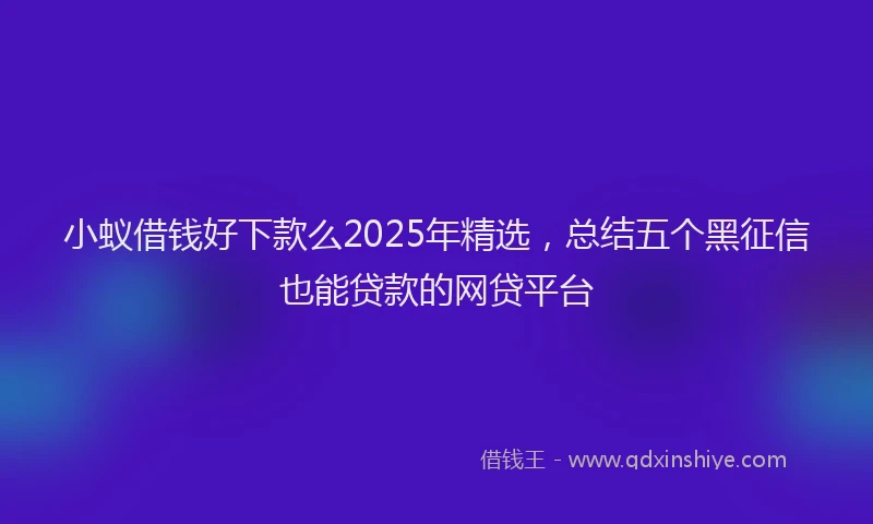 小蚁借钱好下款么2025年精选，总结五个黑征信也能贷款的网贷平台