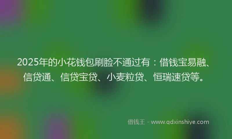 2025年的小花钱包刷脸不通过有：借钱宝易融、信贷通、信贷宝贷、小麦粒贷、恒瑞速贷等。