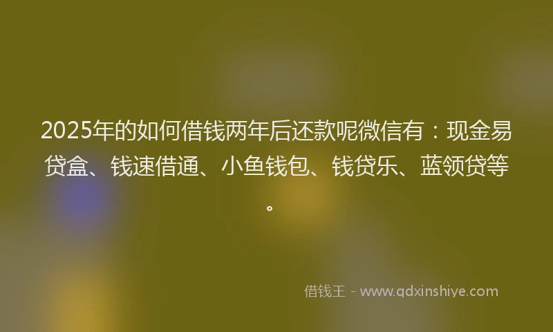 2025年的如何借钱两年后还款呢微信有：现金易贷盒、钱速借通、小鱼钱包、钱贷乐、蓝领贷等。