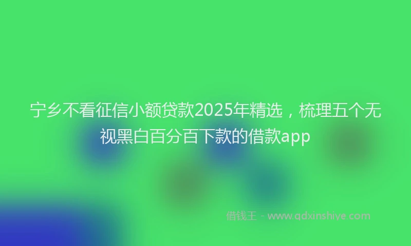 宁乡不看征信小额贷款2025年精选，梳理五个无视黑白百分百下款的借款app