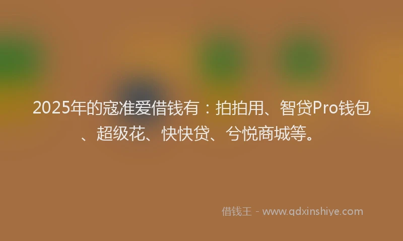 2025年的寇准爱借钱有：拍拍用、智贷Pro钱包、超级花、快快贷、兮悦商城等。