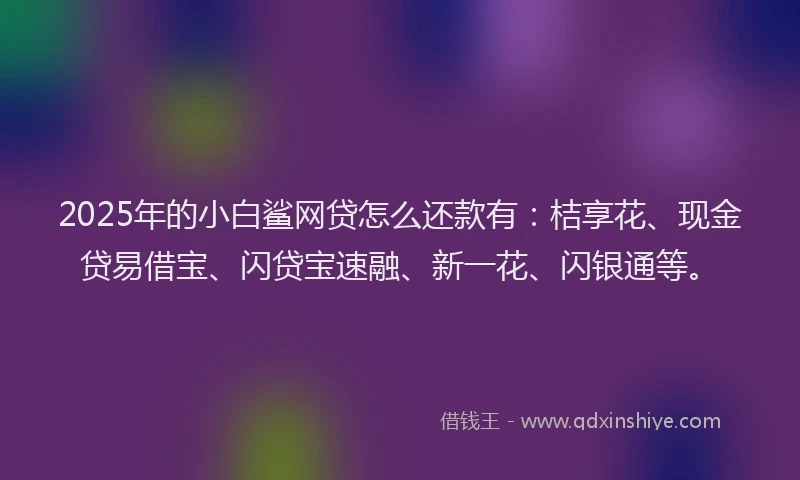 2025年的小白鲨网贷怎么还款有：桔享花、现金贷易借宝、闪贷宝速融、新一花、闪银通等。