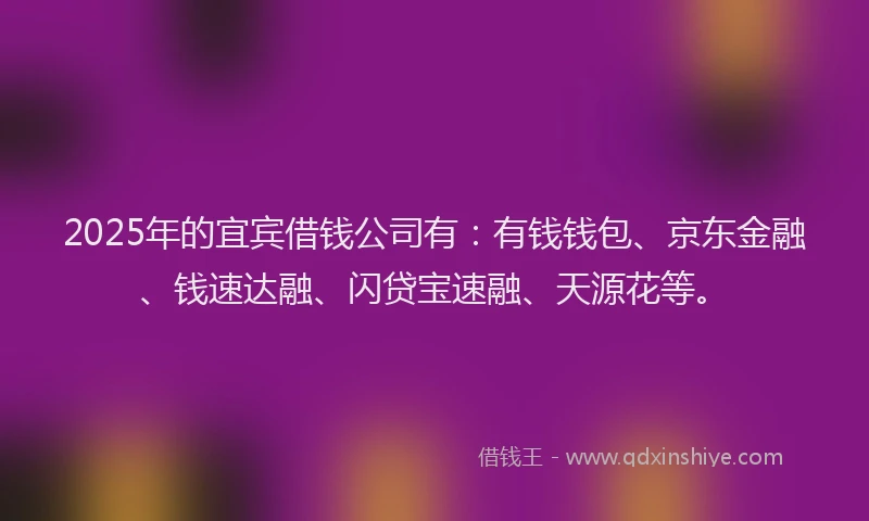 2025年的宜宾借钱公司有：有钱钱包、京东金融、钱速达融、闪贷宝速融、天源花等。