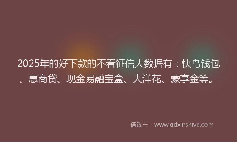 2025年的好下款的不看征信大数据有：快鸟钱包、惠商贷、现金易融宝盒、大洋花、蒙享金等。