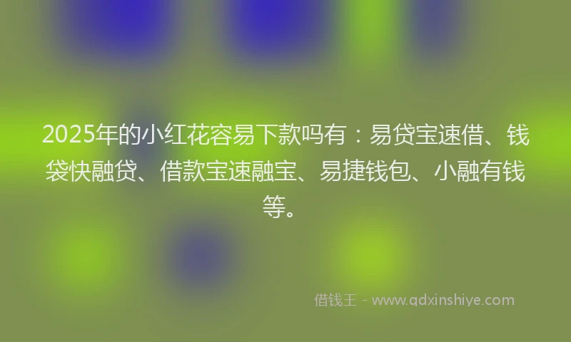 2025年的小红花容易下款吗有：易贷宝速借、钱袋快融贷、借款宝速融宝、易捷钱包、小融有钱等。