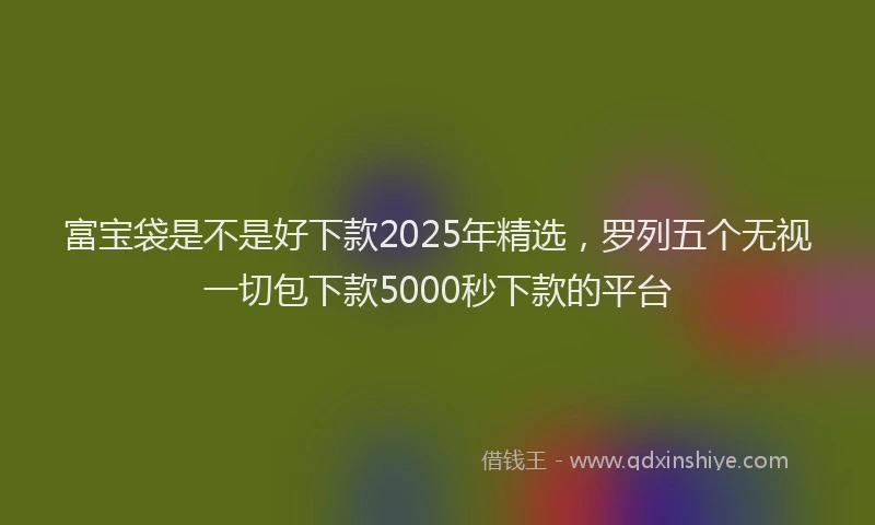 富宝袋是不是好下款2025年精选，罗列五个无视一切包下款5000秒下款的平台