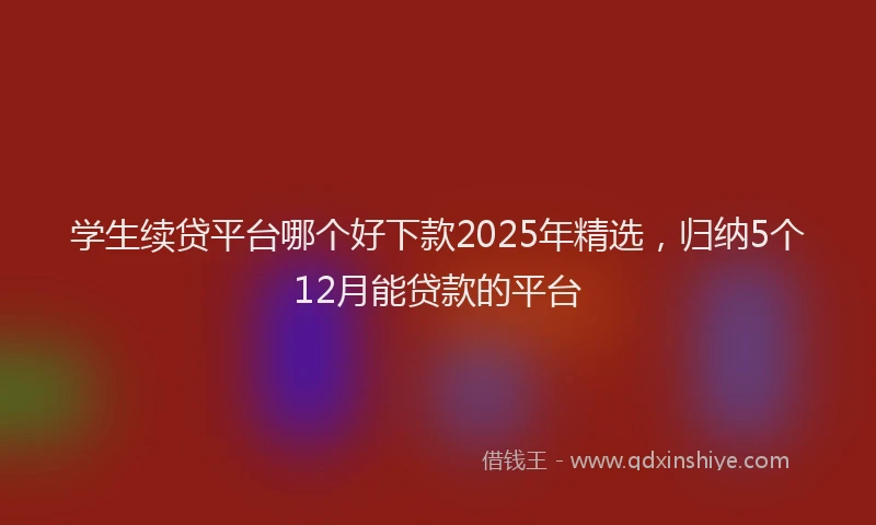 学生续贷平台哪个好下款2025年精选，归纳5个12月能贷款的平台