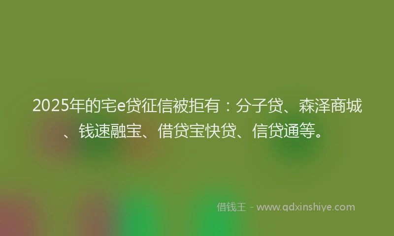 2025年的宅e贷征信被拒有：分子贷、森泽商城、钱速融宝、借贷宝快贷、信贷通等。