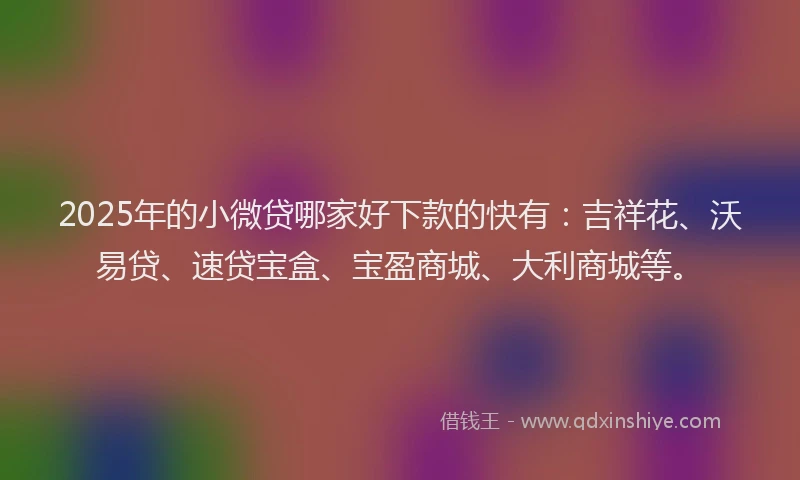 2025年的小微贷哪家好下款的快有：吉祥花、沃易贷、速贷宝盒、宝盈商城、大利商城等。