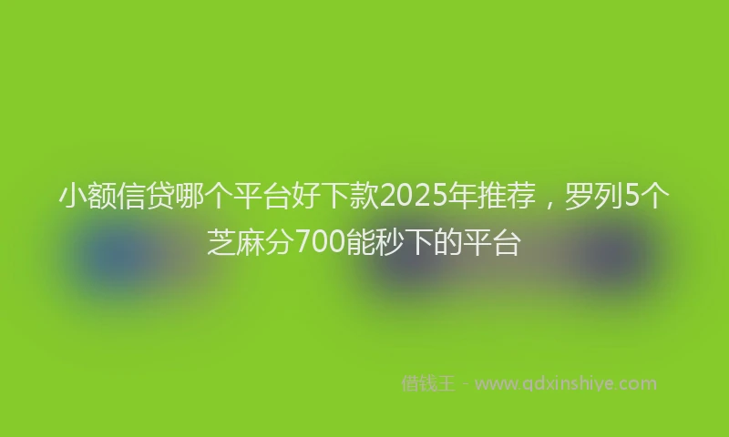 小额信贷哪个平台好下款2025年推荐，罗列5个芝麻分700能秒下的平台