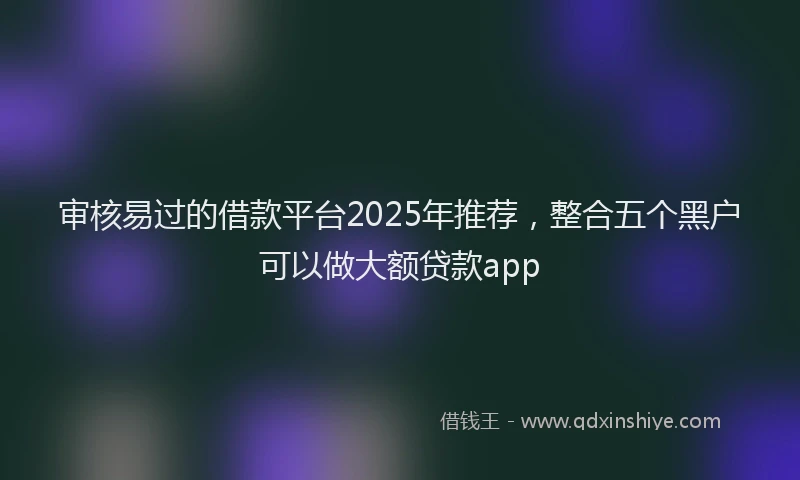 审核易过的借款平台2025年推荐，整合五个黑户可以做大额贷款app