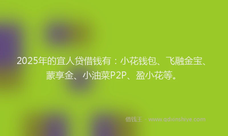 2025年的宜人贷借钱有：小花钱包、飞融金宝、蒙享金、小油菜P2P、盈小花等。