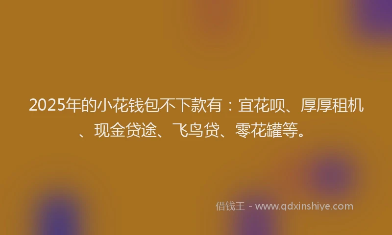 2025年的小花钱包不下款有：宜花呗、厚厚租机、现金贷途、飞鸟贷、零花罐等。