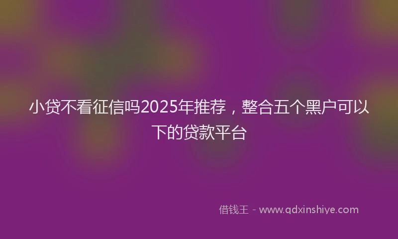 小贷不看征信吗2025年推荐，整合五个黑户可以下的贷款平台