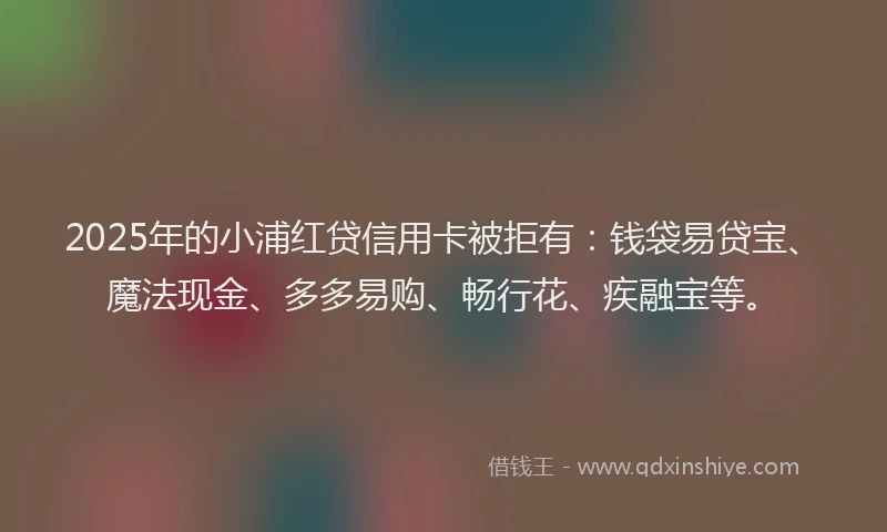 2025年的小浦红贷信用卡被拒有：钱袋易贷宝、魔法现金、多多易购、畅行花、疾融宝等。