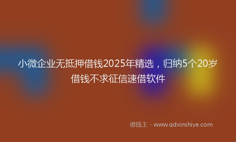 小微企业无抵押借钱2025年精选，归纳5个20岁借钱不求征信速借软件