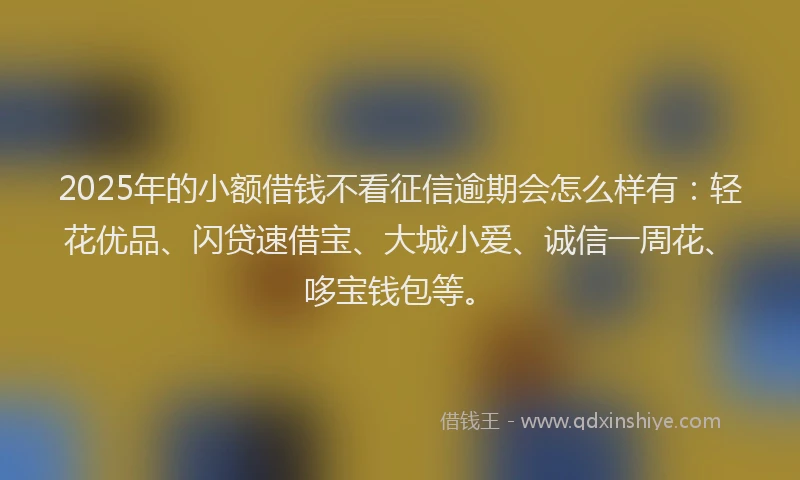 2025年的小额借钱不看征信逾期会怎么样有：轻花优品、闪贷速借宝、大城小爱、诚信一周花、哆宝钱包等。