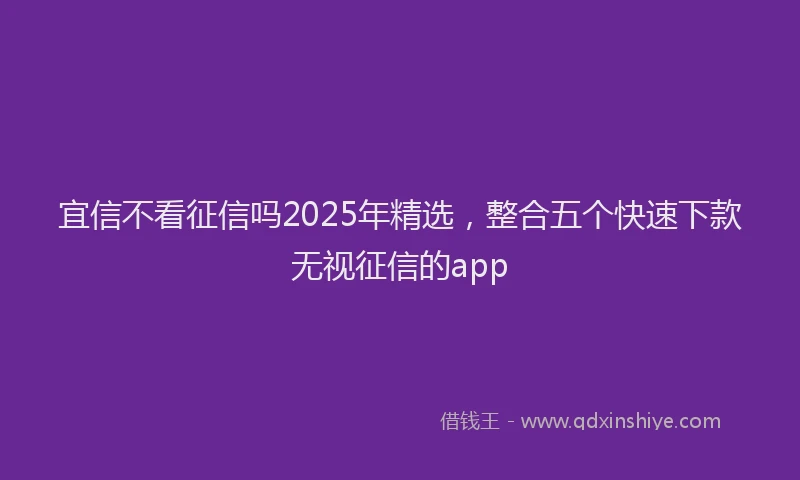 宜信不看征信吗2025年精选，整合五个快速下款无视征信的app