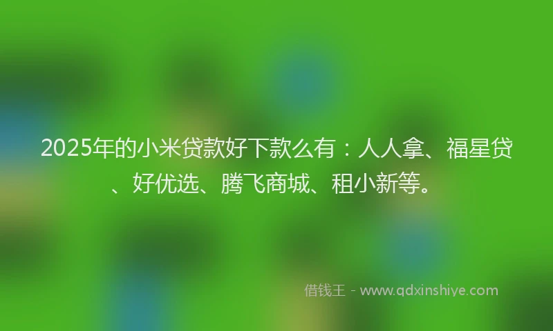 2025年的小米贷款好下款么有：人人拿、福星贷、好优选、腾飞商城、租小新等。