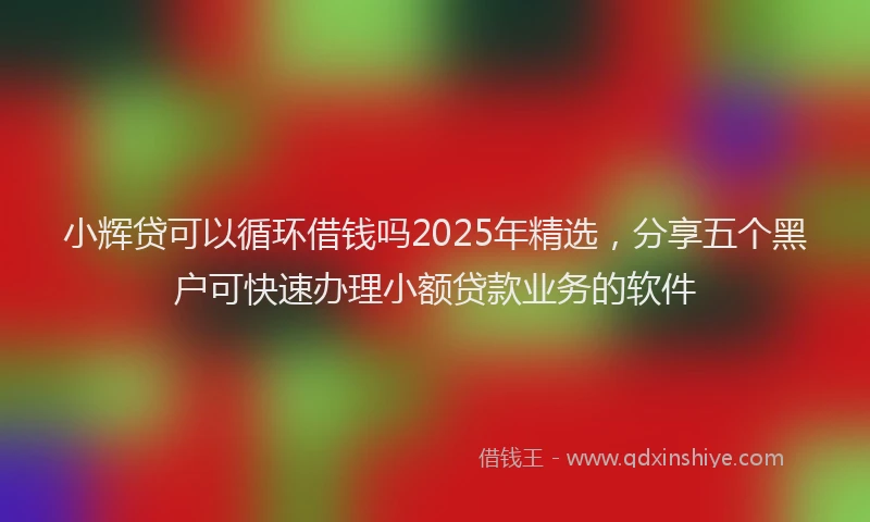 小辉贷可以循环借钱吗2025年精选，分享五个黑户可快速办理小额贷款业务的软件