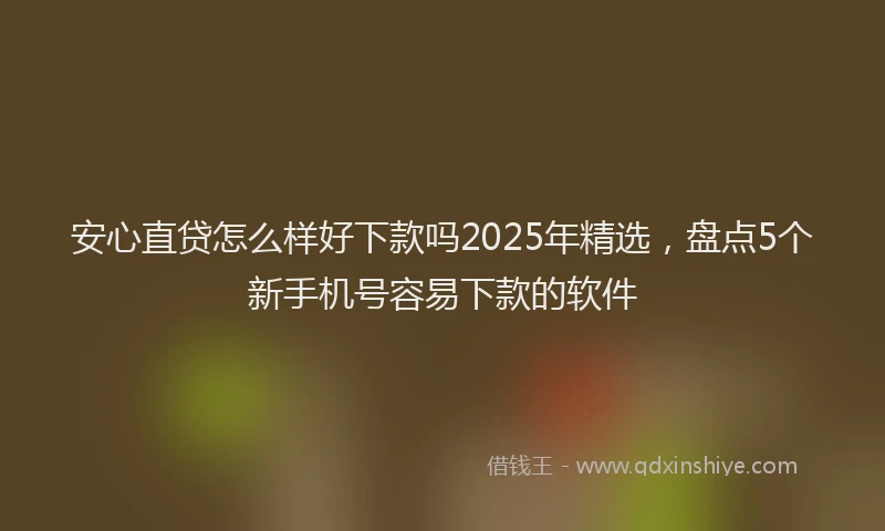 安心直贷怎么样好下款吗2025年精选,盘点5个新手机号容易下款的软件