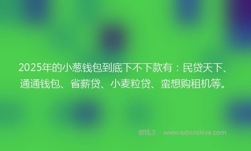 2025年的小葱钱包到底下不下款有：民贷天下、通通钱包、省薪贷、小麦粒贷、蛮想购租机等。