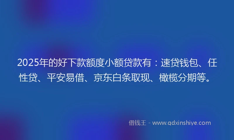 2025年的好下款额度小额贷款有：速贷钱包、任性贷、平安易借、京东白条取现、橄榄分期等。