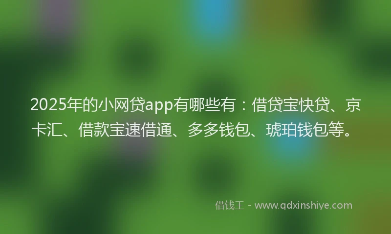 2025年的小网贷app有哪些有：借贷宝快贷、京卡汇、借款宝速借通、多多钱包、琥珀钱包等。
