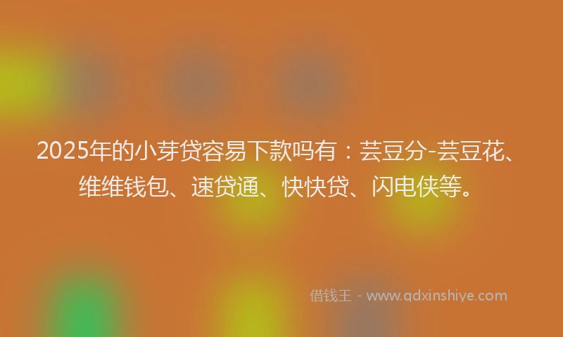 2025年的小芽贷容易下款吗有：芸豆分-芸豆花、维维钱包、速贷通、快快贷、闪电侠等。