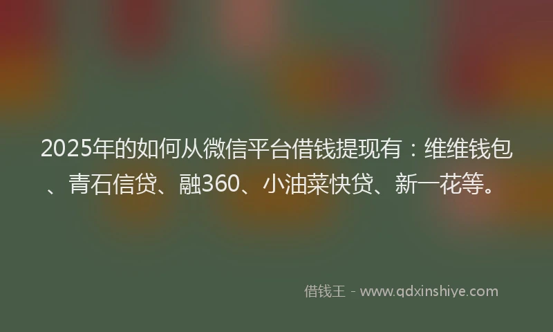 2025年的如何从微信平台借钱提现有：维维钱包、青石信贷、融360、小油菜快贷、新一花等。